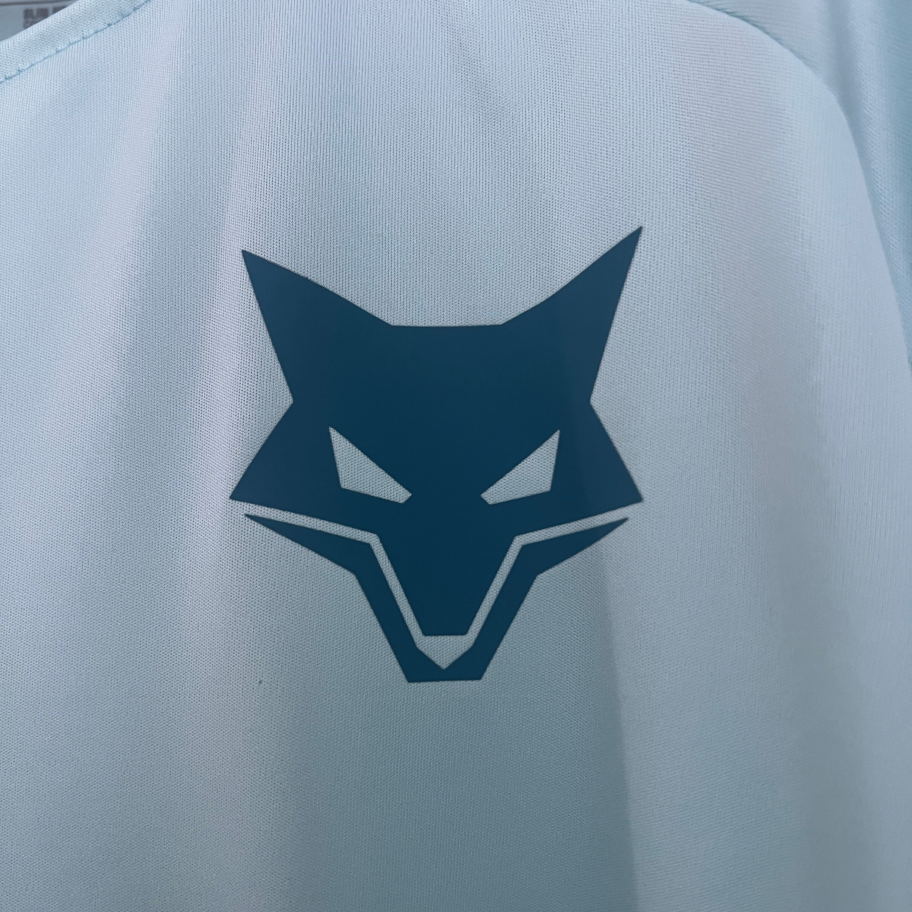 Camisa Cruzeiro Treino 25/26 Adidas Masculina - Azul claro