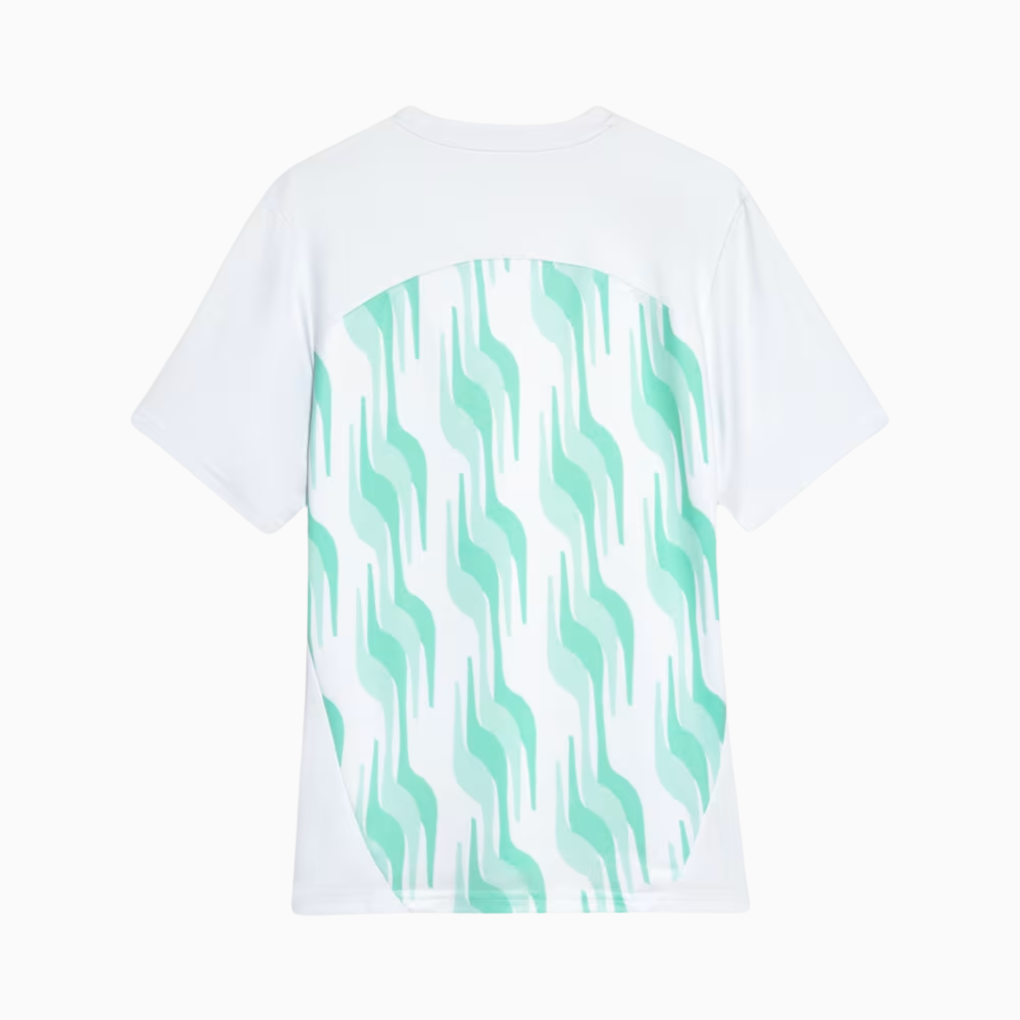 Camisa Puma Palmeiras 2025/26 Pré-Jogo