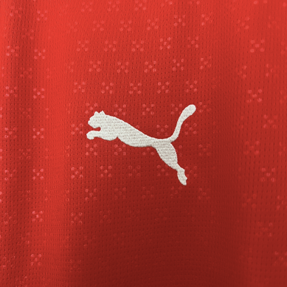 Camisa Seleção Portugal Home 25/26 s/n Torcedor Puma Masculina - Vermelho