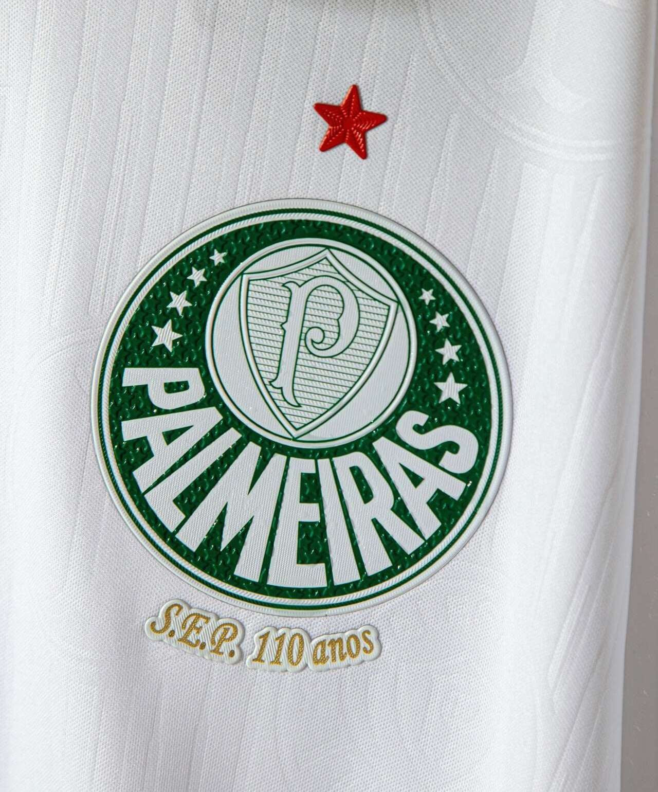 Camisa Palmeiras Away 24/25 Torcedor