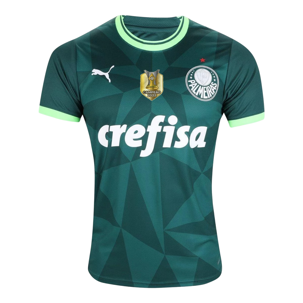 Camisa Palmeiras Home 23/24 Torcedor