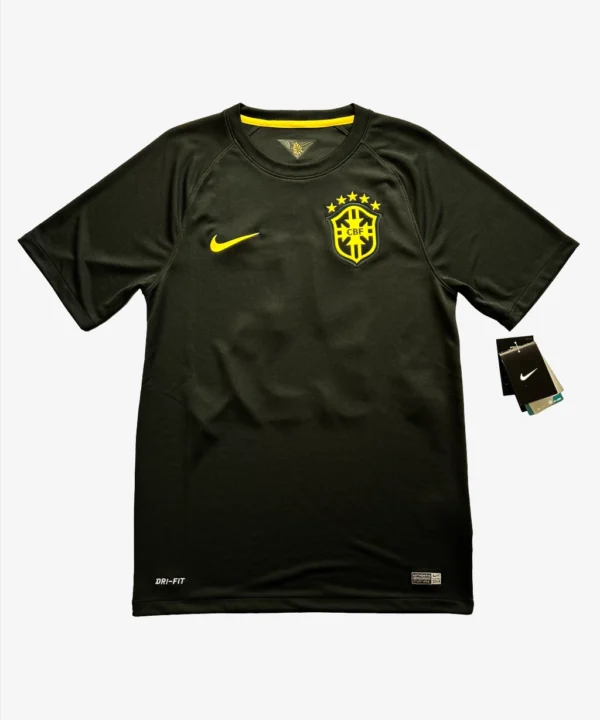 Seleção Brasileira 2014 Third